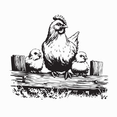 Mother Hen and Chicks Perched on Wooden Fence Vector Illustration © Imam