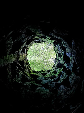 View from inside a well in a forest