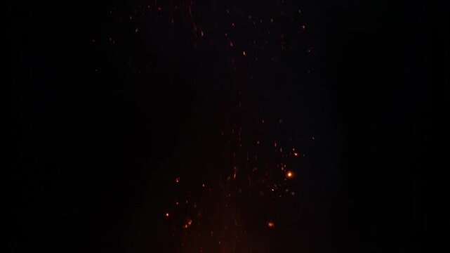 Nighttime Fireworks Burst Over Dark Sky Video.