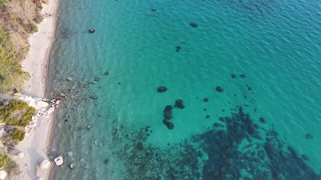 Aerial drone footage flying alongside a picturesque shoreline of Lake Tahoe, showcasing crystal clear turquoise waters, submerged boulders, and a sandy beach lined with evergreen trees.