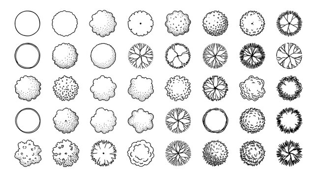 Diverse Tree Plan Top View Illustrations Set