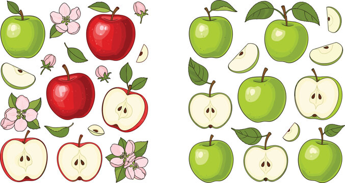 Apple vector set with red and green fruits, slices, and flowers. Botanical style flat illustrations with leaves. Perfect for food packaging, organic products, and nature themed designs.