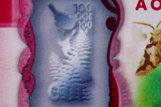 Dynamic, fast-paced stop motion animation featuring a 100 New Zealand Dollar (NZD) banknote. The rapid, jittery movement conveys concepts of high-frequency trading, fast cash flow, global finance, and