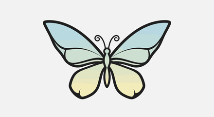 Fototapeta premium Colorful butterfly with open wings.