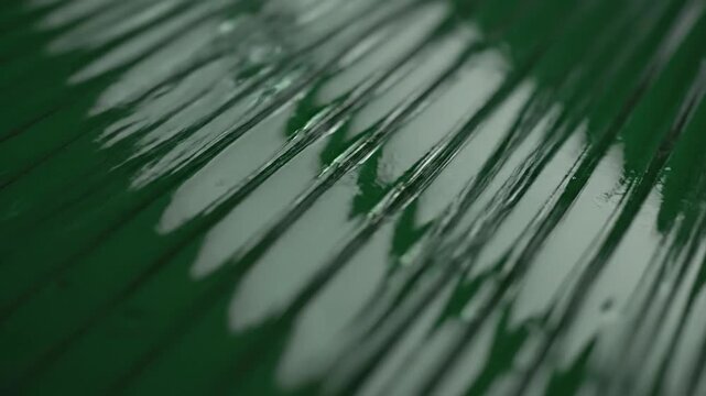 Close-up view of glossy green ribbed surface with subtle reflections and highlights, creating an abstract textured background