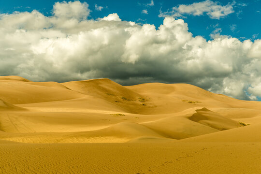 USA, Colorado, Great Sand Dune National Park.  The tallest sand dunes in North America, up to 750 feet (230 m) tall.  Covering an area of about 30 sq mi (78 km2)