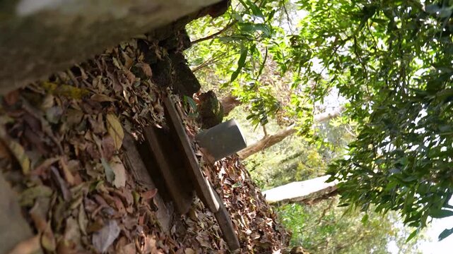 Ancient temple ruins in forest Karwar Karnataka India.Abandoned Hindu temple ruins in jungle with idols.