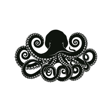 Black octopus silhouette with suckers on tentacles