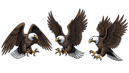 Obraz premium Three detailed illustrations of bald eagles in different flight and landing positions with outstretched wings and sharp talons for nature.