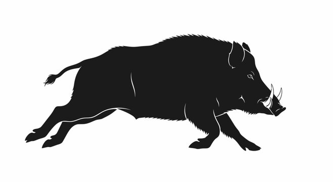 Black silhouette of a wild boar running