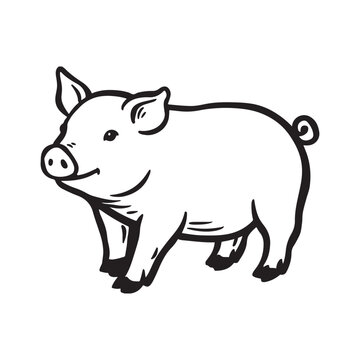 Wild Animal Pig Logotype Sign Isolated Graphic Design