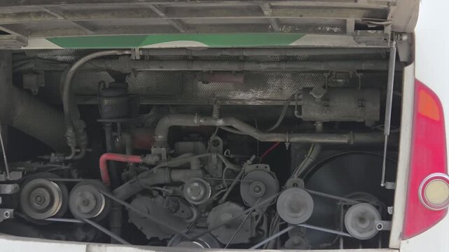 Open engine compartment of a bus showing the diesel engine, belts, and mechanical components.