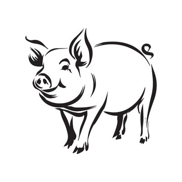 Wild Animal Pig Logotype Sign Isolated Graphic Design