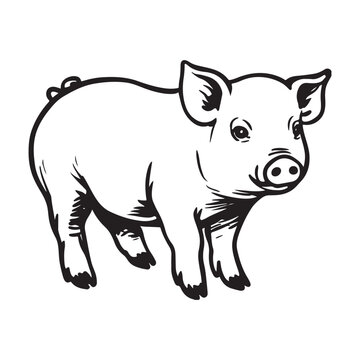 Wild Animal Pig Logotype Sign Isolated Graphic Design