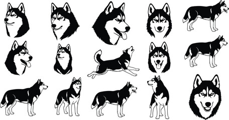 Collection of husky dog illustrations and silhouettes in various poses isolated on white background perfect for pet design logos icons and animal graphics ©  BAKKOR