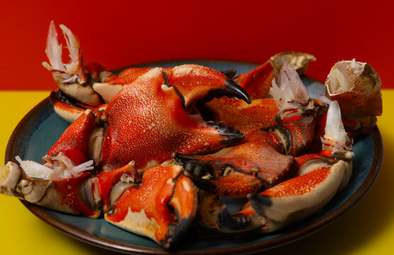 Crab isolated vibrant macro. Crab cooked shell texture. Crab restaurant culinary concept. Crab close up detail gourmet.