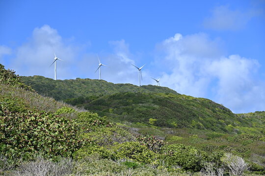 Eoliennes sous les tropiques &agrave; Marie Galante pour une &eacute;nergie propre 