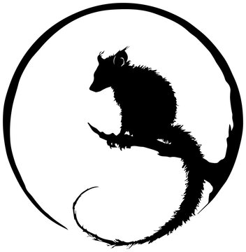 Aye aye perched on circular branch with curled tail black silhouette on white background mystical atmosphere