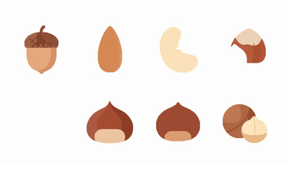 Circular nut collection acorn almond cashew vector illustration © Protima
