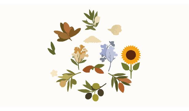 Circular cosmetic plant collection natural beauty vector illustration