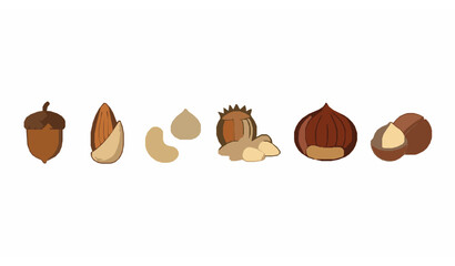 Nut collection vector set acorn almond cashew hazelnut illustration © Protima