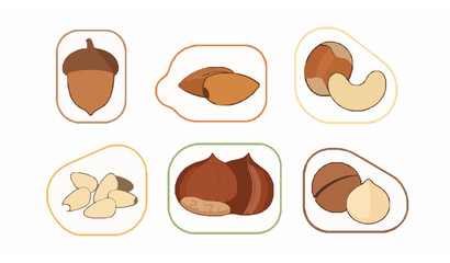 Nut icons in frames acorn almond cashew vector set © Protima