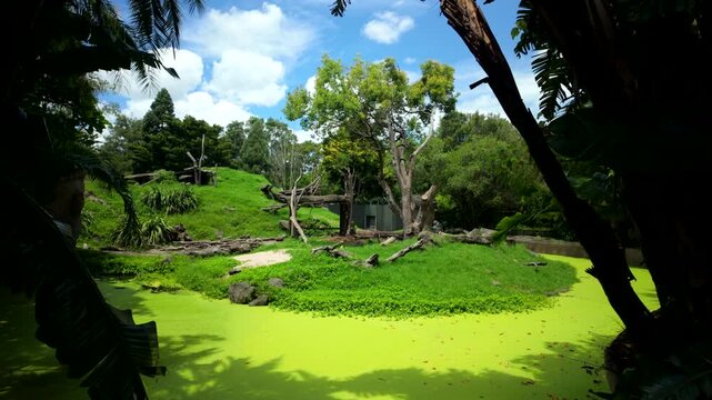 Zoo Island Across Green Water