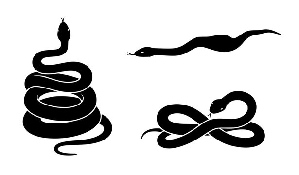 Minimalist snake silhouette vector illustration collection