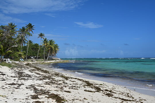 Plage &agrave; Capesterre Marie Galante