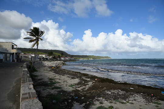 Plage &agrave; Capesterre Marie Galante aux Antilles