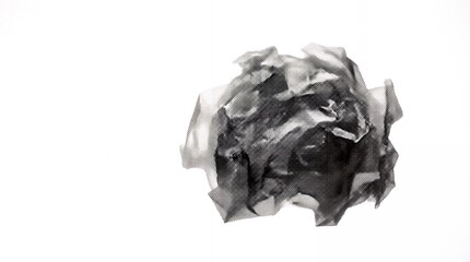 Fototapeta premium Black and white artistic close up of textured rose flower isolated on white background