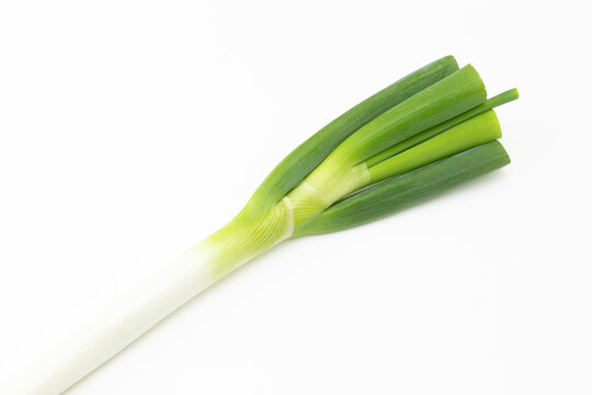 長ネギ　白バック