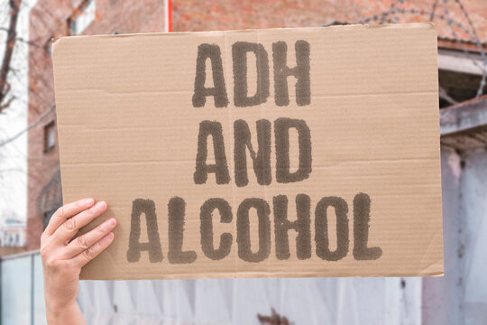 "ADH And Alcohol" Alcohol suppresses ADH making kidneys produce far too much urine. ADH. SUPPRESSED. ALCOHOL. KIDNEYS. URINE.