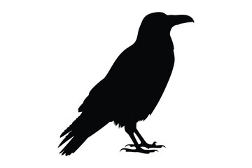 Fototapeta premium Crow raven bird silhouette vector, crow silhouette