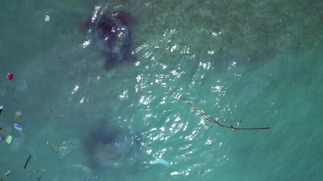 two Sea turtles swimming in ocean plastic pollution. Magic aerial view drone