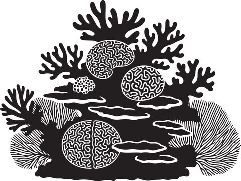 Black and white coral reef illustration with brain corals