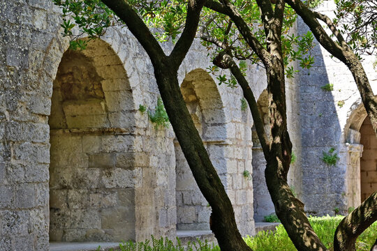 La Roque d'Antheron: il chiostro dell'Abbazia di Silvacane, Luberon, Provenza, Francia