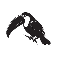 Fototapeta premium vector illustration of a toucan