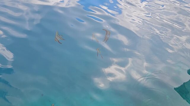 Videos of the sea, beach, and island
