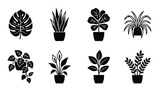 Houseplant silhouette icons featuring monstera snake plant fiddle leaf fig and indoor flower pots set