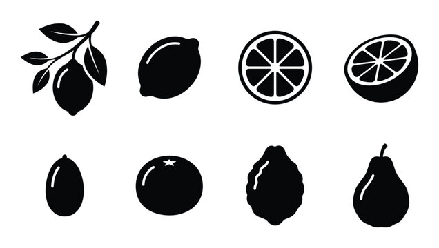 Lemon and kumquat fruit black silhouettes collection vector illustration whole and sliced