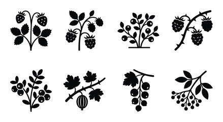 Set of stylized black berry and strawberry plant silhouettes isolated on transparent background. © GoDesigner