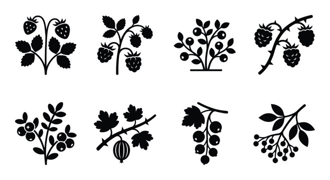 Set of stylized black berry and strawberry plant silhouettes isolated on transparent background.