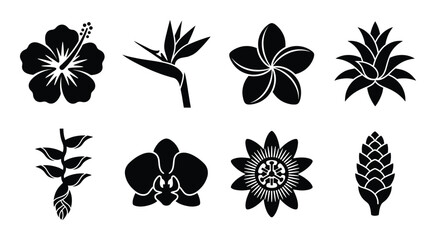 Tropical flower icons collection with hibiscus bird of paradise plumeria and orchid flower shapes © GoDesigner
