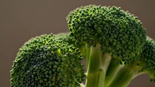 Fresh broccoli florets close up detail of green vegetable texture