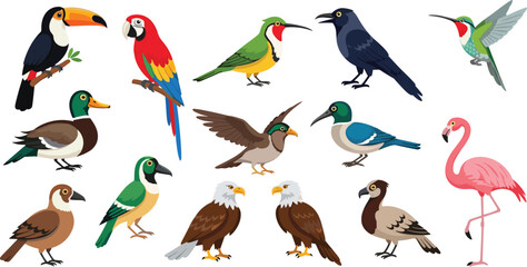 Fototapeta premium Colorful Exotic Birds Vector Set with Toucan, Parrot, Flamingo, Eagle, Duck, Crow, and Hummingbird for Wildlife Illustration and Nature Design Collection
