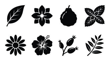 Set of black natural plant elements and flowers vector icon collection leaf mint rosehip hibiscus chamomile © GoDesigner