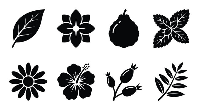 Set of black natural plant elements and flowers vector icon collection leaf mint rosehip hibiscus chamomile