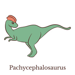 Fototapeta premium Vector illustration of Pachycephalosaurus dinosaur in cartoon doodle style. Colorful hand drawn dino character isolated on white background for kids room decor, pattern, card, book illustration.