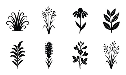 Wild meadow plants and floral silhouettes set decorative grass herbs and flower botanical collection © GoDesigner